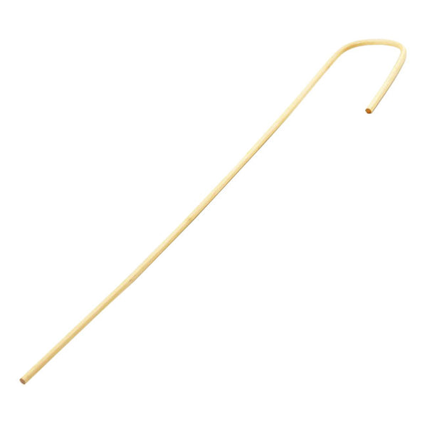 Bamboo Cane