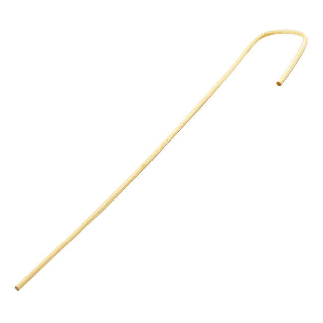 Bamboo Cane